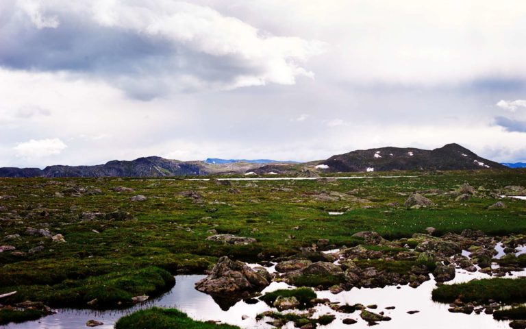 Vakre omgivelser på vidda i valdresflya