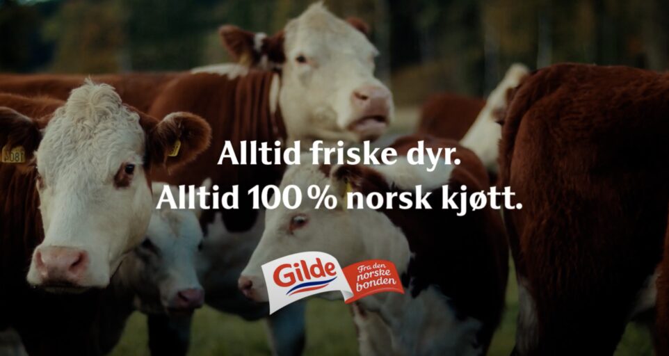 Alltid friske dyr allt 100 prosent norsk kjøtt